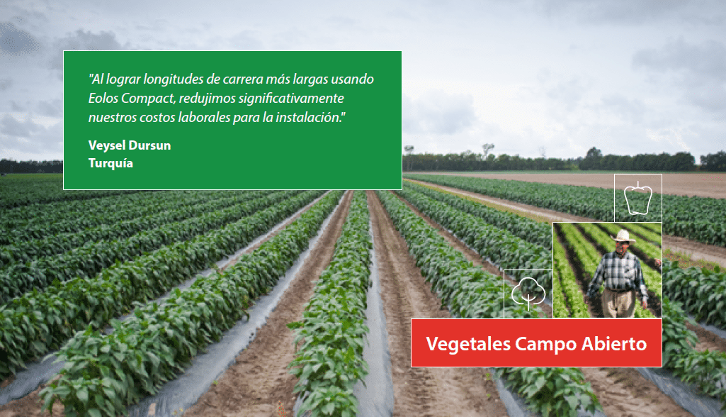 open field vegtables crop