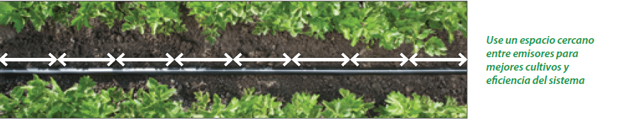 dripper system for open field crop