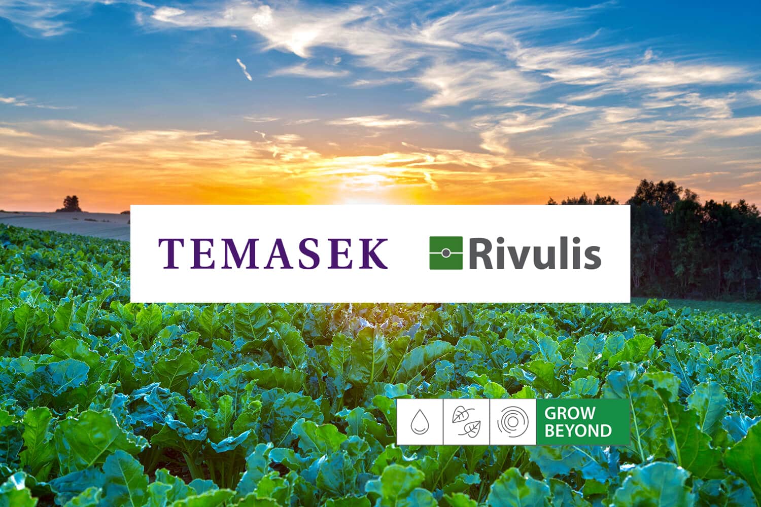 Temasek firma un acuerdo para adquirir una participación mayoritaria de Rivulis