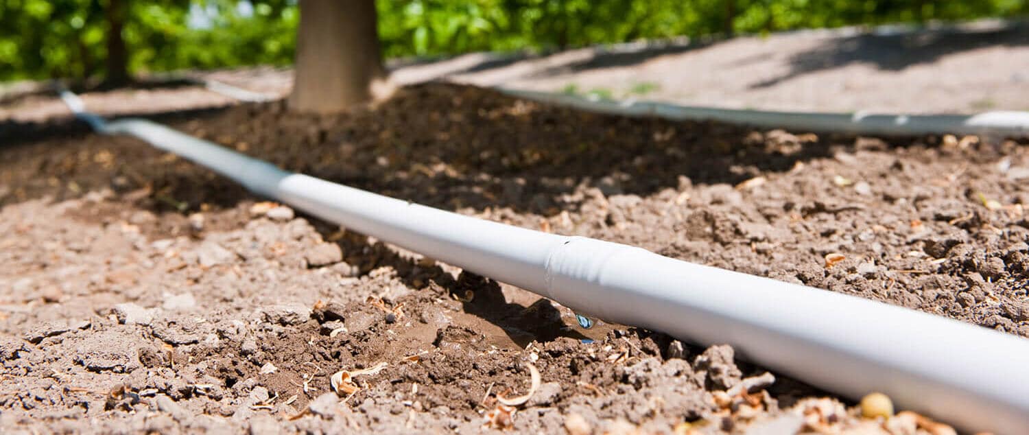 Por qué los cultivadores eligen la línea de goteo blanca