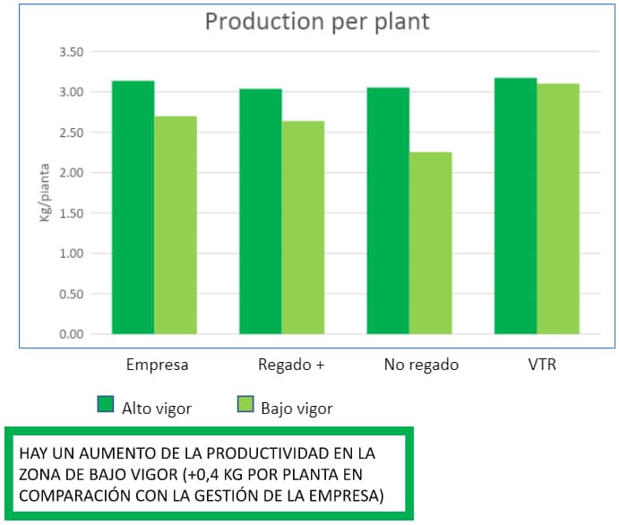 PRODUCTION PER PLANT AT HARVEST (2021)