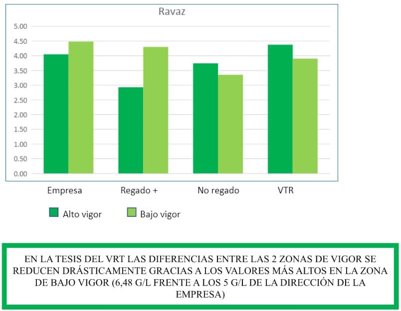 GRAPE 5 : RAVAZ INDEX (RATIO BETWEEN GRAPES PRODUCED AND PRUNING WOOD) (2021)