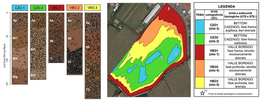 DISTRIBUTION OF THE 5 CARTOGRAPHIC UNITS IDENTIFIED INSIDE THE VINEYARD AND GRAPHIC REPRESENTATION OF THE PROFILE