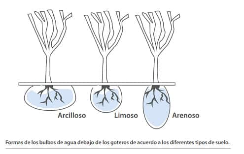 La forma del bulbo de agua bajo el gotero en diferentes tipos de suelo.