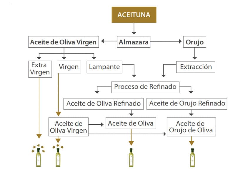 processo de produção de azeite de oliveira