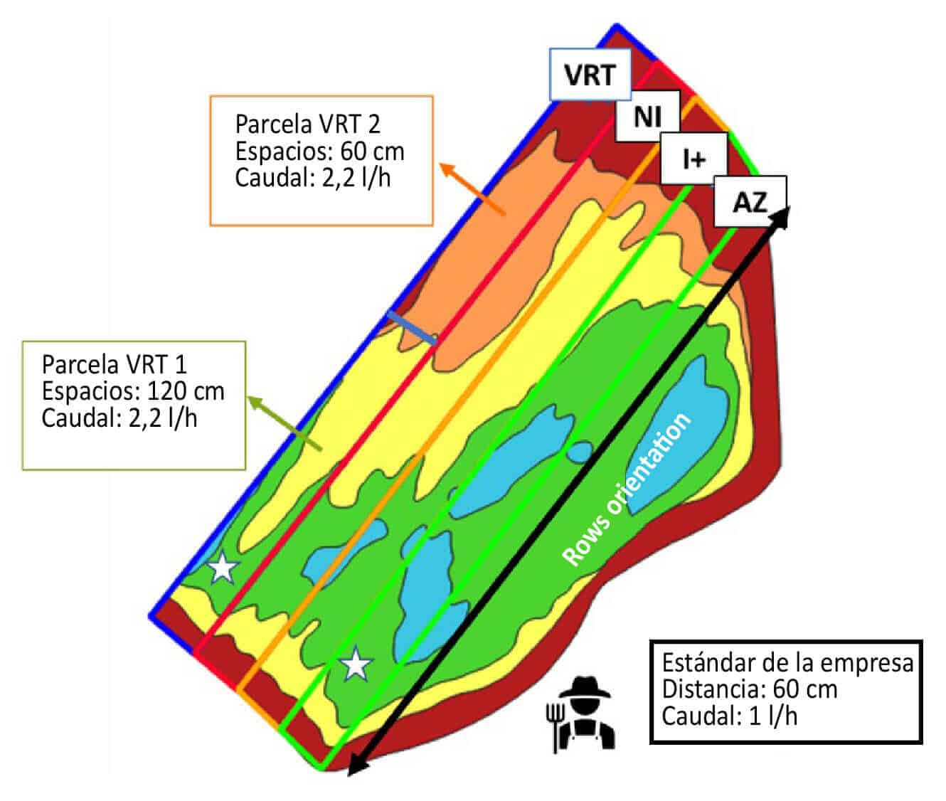 POSITIONING OF THE 4 THESES IN THE VINEYARD AND CHARACTERISTICS OF THE IRRIGATION SYSTEM