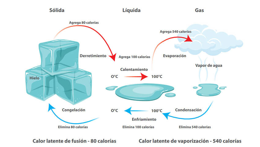 El calor latente es la forma en que el agua puede proteger su plantación o viñedo de las heladas.