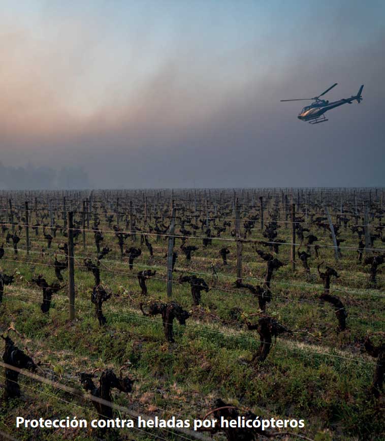 Protección contra heladas con helicópteros