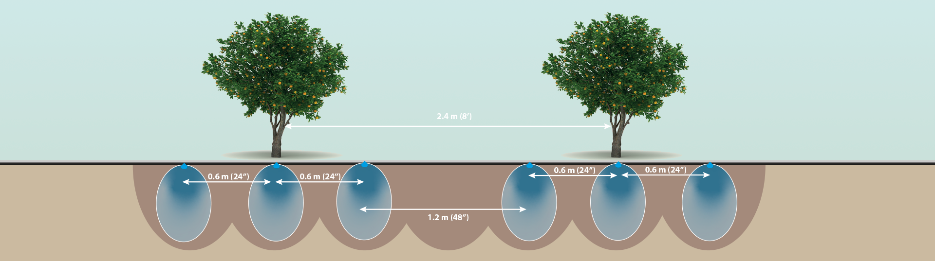 Aumente la eficacia del riego por goteo regando sólo donde sus plantas lo necesiten y omitiendo las zonas donde no sea necesario