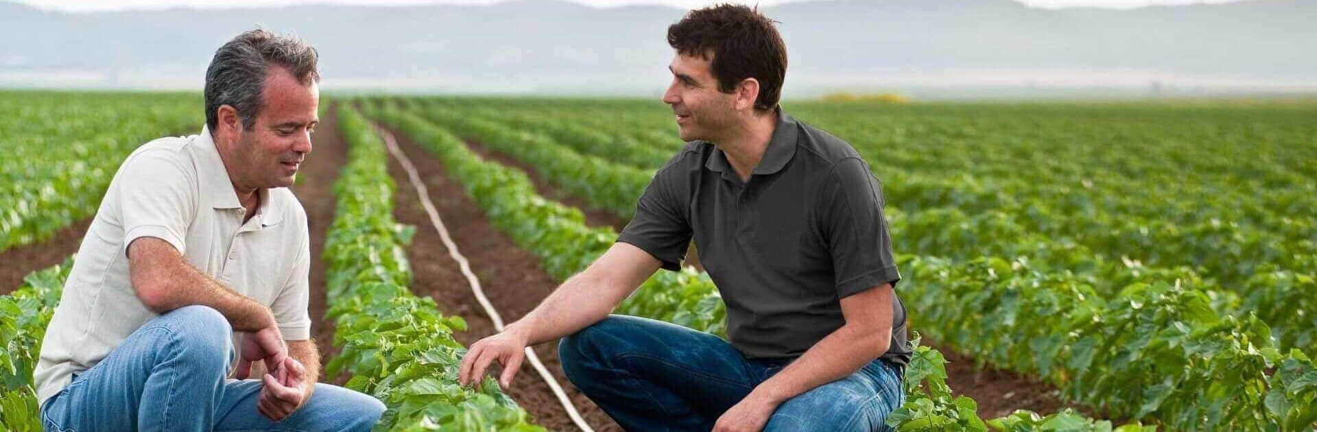 Videos con Consejos de Expertos y Guías Prácticas