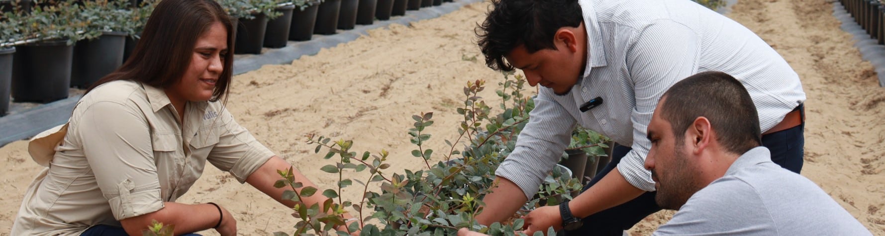 DLL, AGRI3 y Rivulis lanzan un programa de financiamiento combinado para ampliar el acceso al riego sostenible